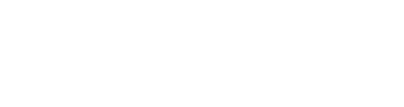 DelphSoft |  Software Studio| ERP-POS-Ecommerce